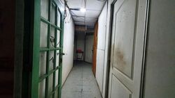 Macpherson Road (D13), Apartment #526624641